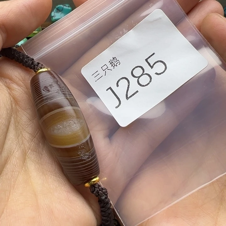 吊坠菩提根/象牙果