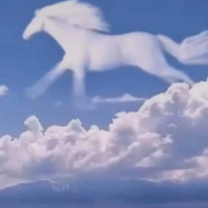 葫芦一物一图，谨慎下单