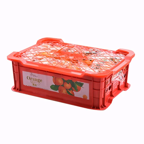 砂糖桔礼篮 2.8kg