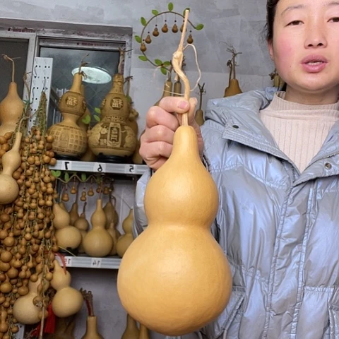 芃*天然植物葫芦文玩