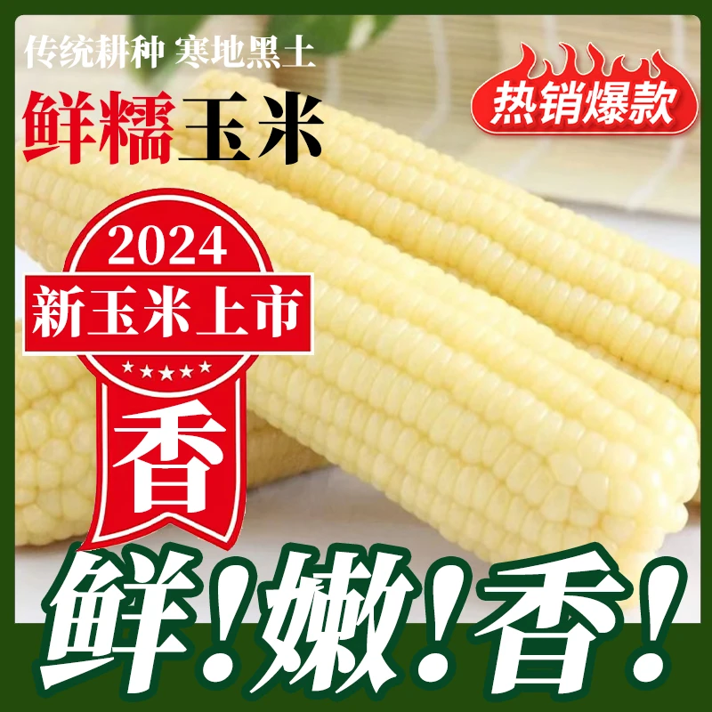 【试吃2根】东北白糯玉米单根260g*10根软糯香甜真空铝箔包装