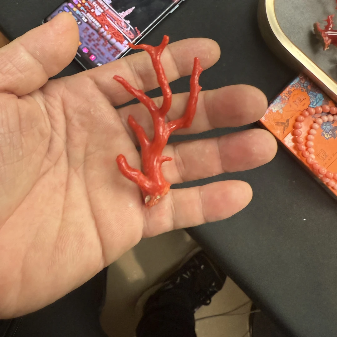 天然红珊瑚沙丁摆件