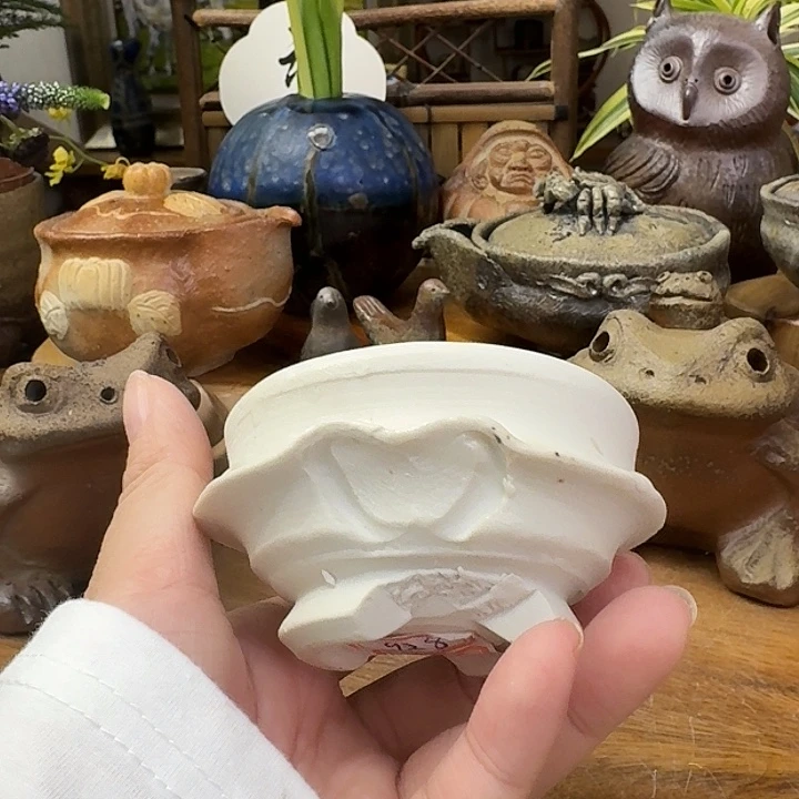 藤原章白备前海洋系列主人杯福利一口价