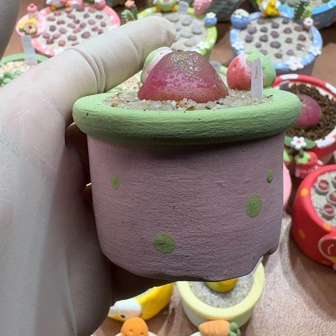 এ***妮1211-032盆盆盆盆盆q