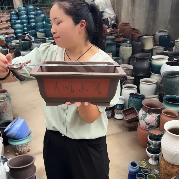 瑕疵一个盆子。