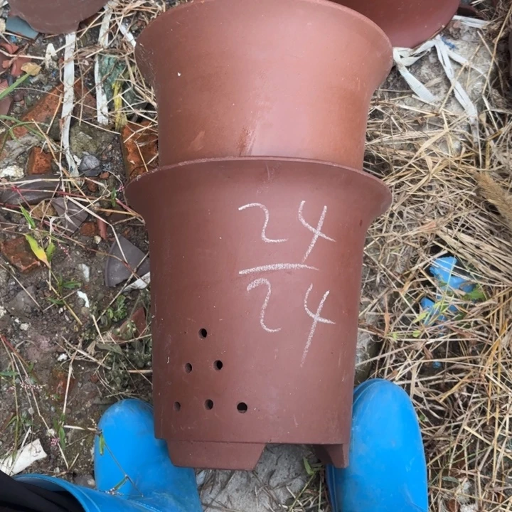 花盆紫砂紫砂的颜色
