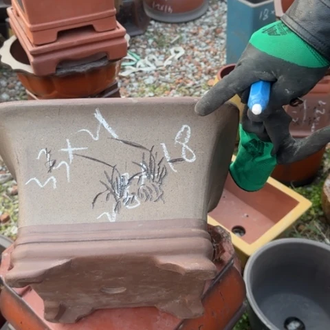 红陶紫砂花盆盆景盆栽