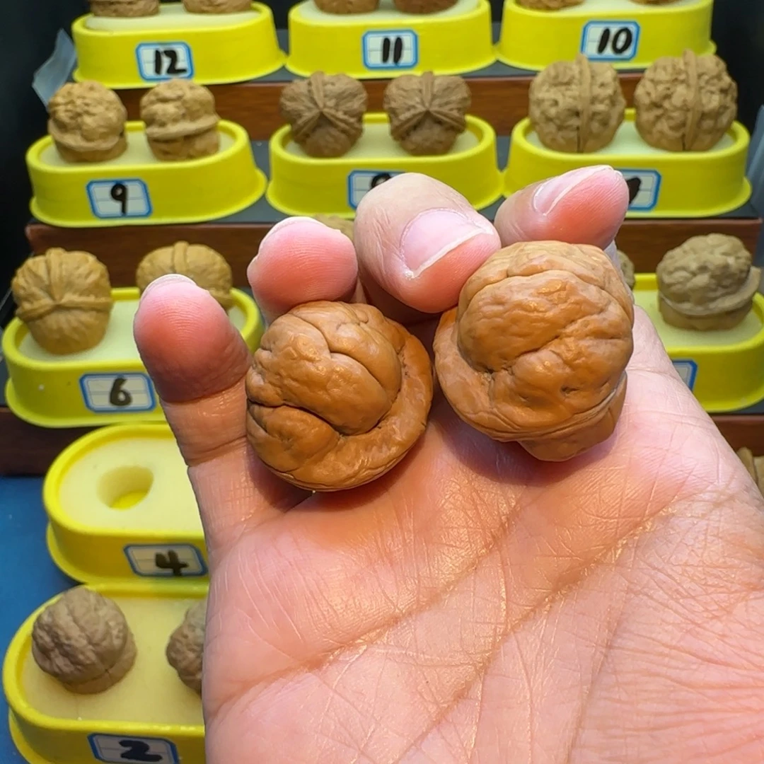 ****帥桃核把件金刚鹦蟾