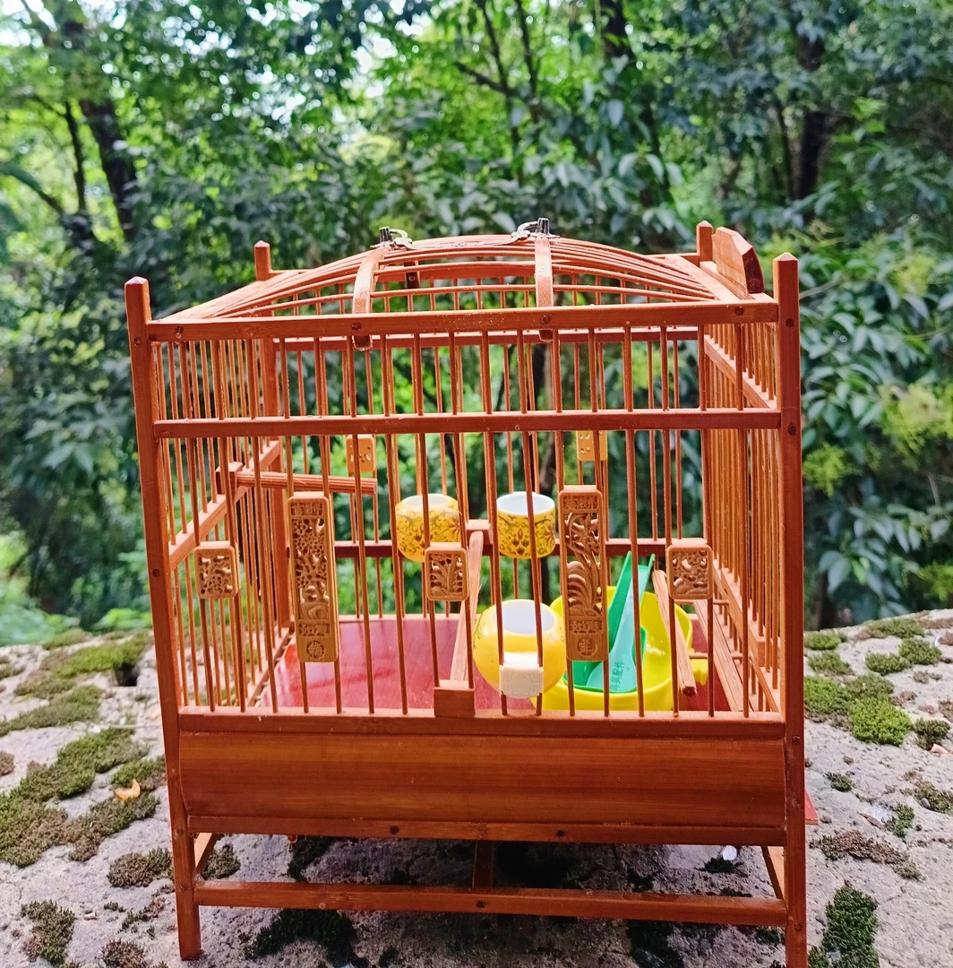 一格黄豆鸟养笼精品笼手工养笼带雕花鸟笼