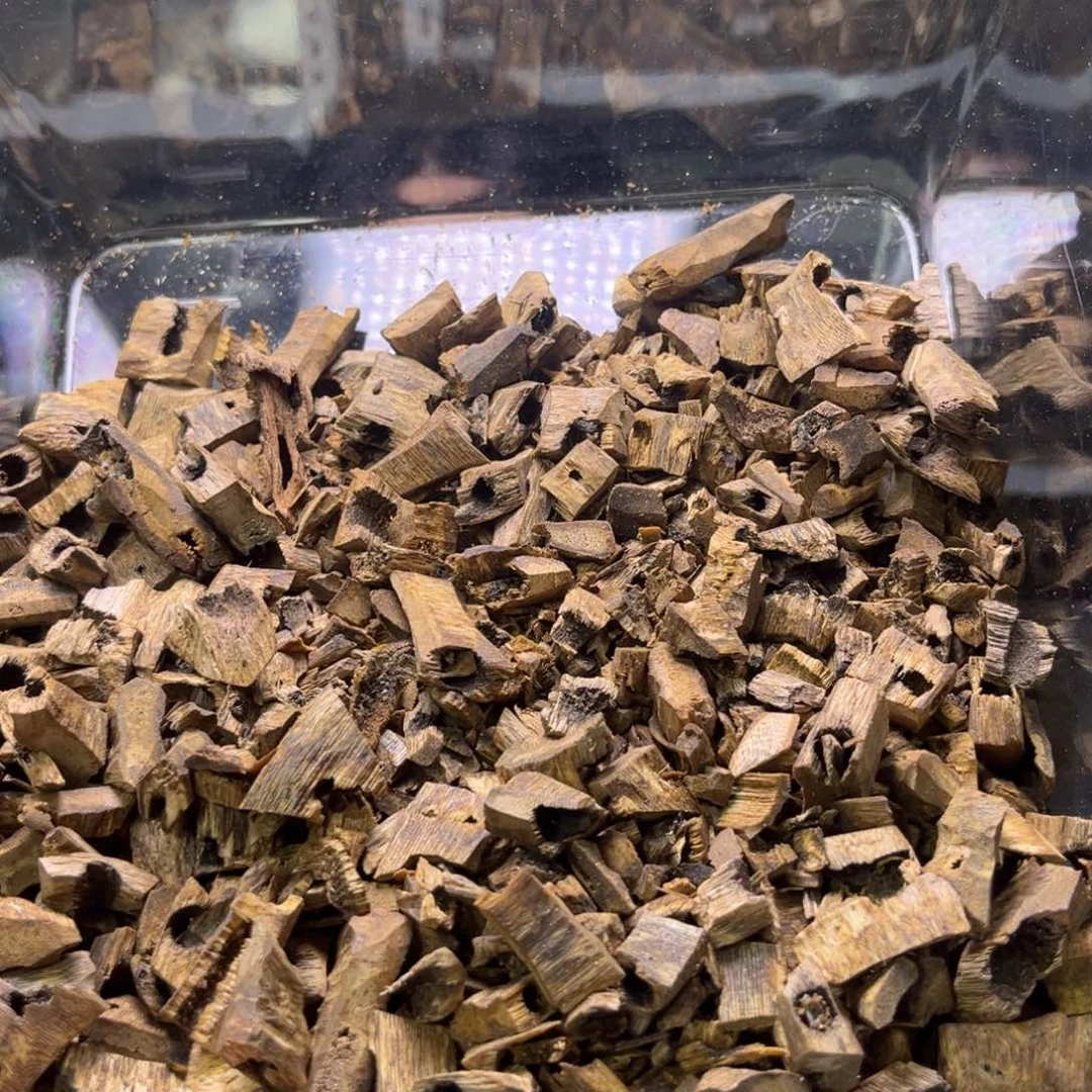 香料海南绿奇碎料20克重福利