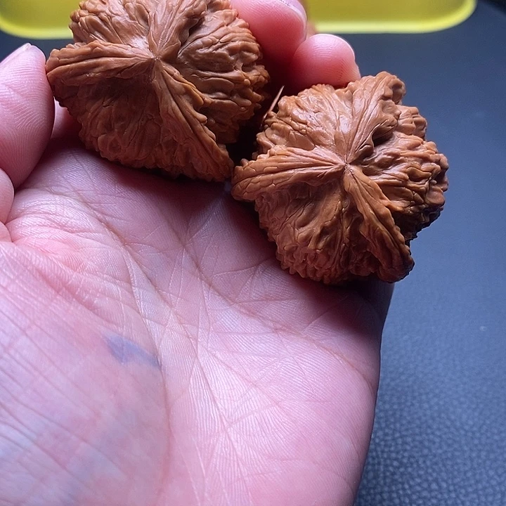 41白奔。明天开始好好