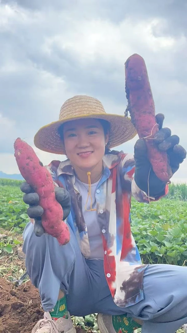 仙妹现挖东北精品红薯地瓜新鲜沙地粉糯甘甜5斤【大号】