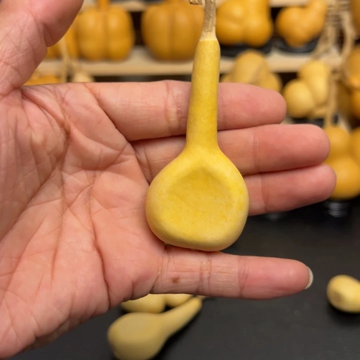 予****.125655555555699999