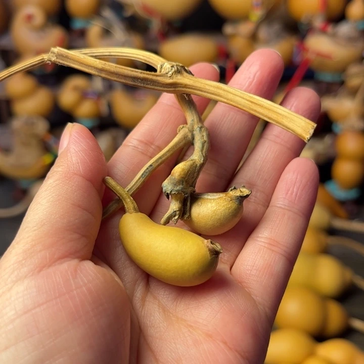 十***画腰子葫芦天天开心