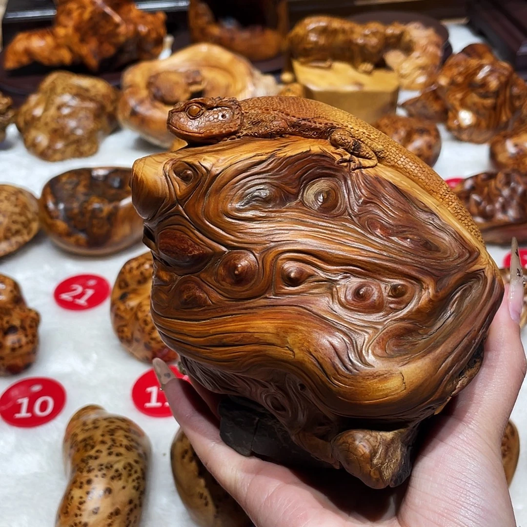 柏木（崖柏）太行崖柏