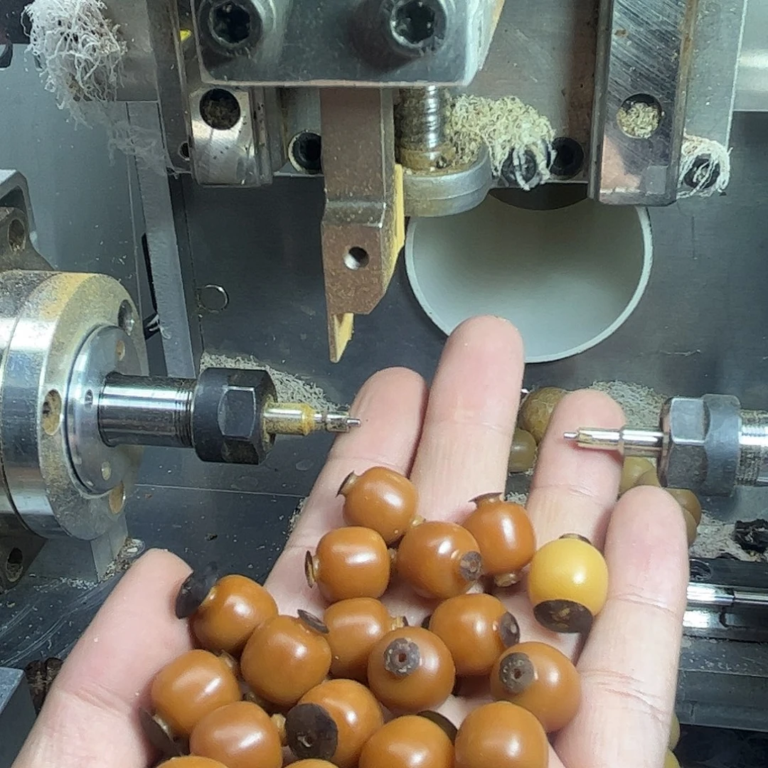 ****远手串菩提根/象牙果