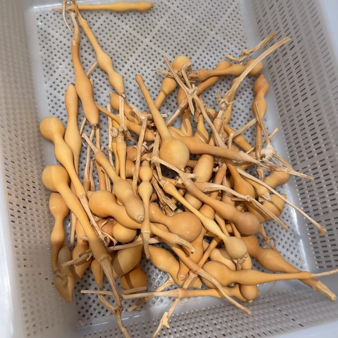 什***吧葫芦葫芦葫芦葫芦