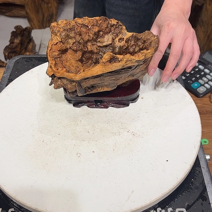 松木（琥珀木）林*