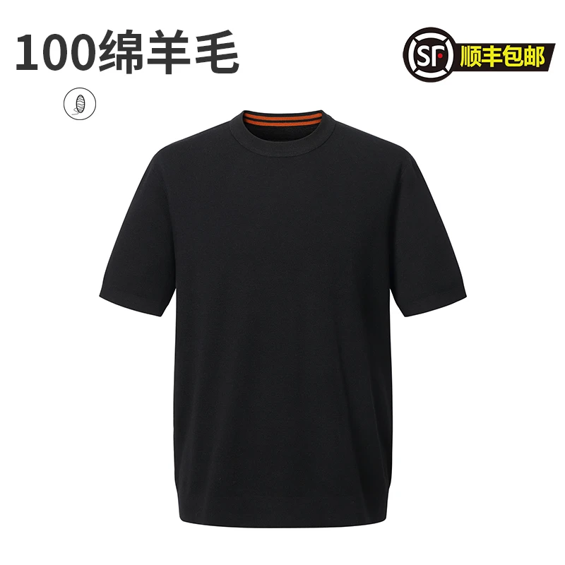 高端加肥大码纯羊毛衫常规款圆领薄款宽松型简约时尚半袖百搭长袖