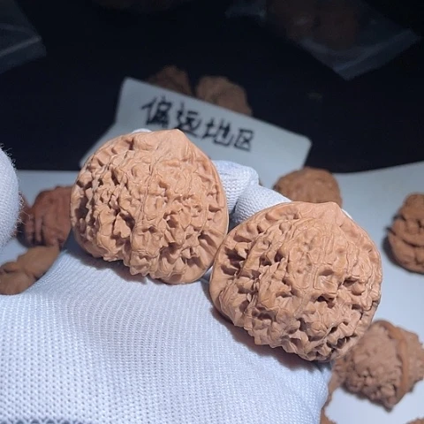 文玩核桃把件龙鼎官帽