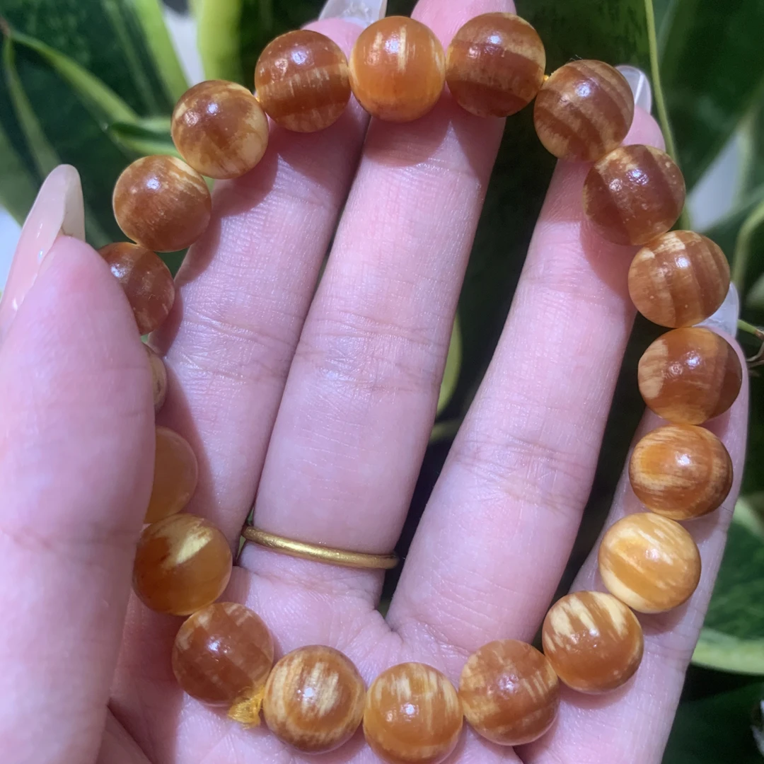 琥珀木1.0尺寸单圈款