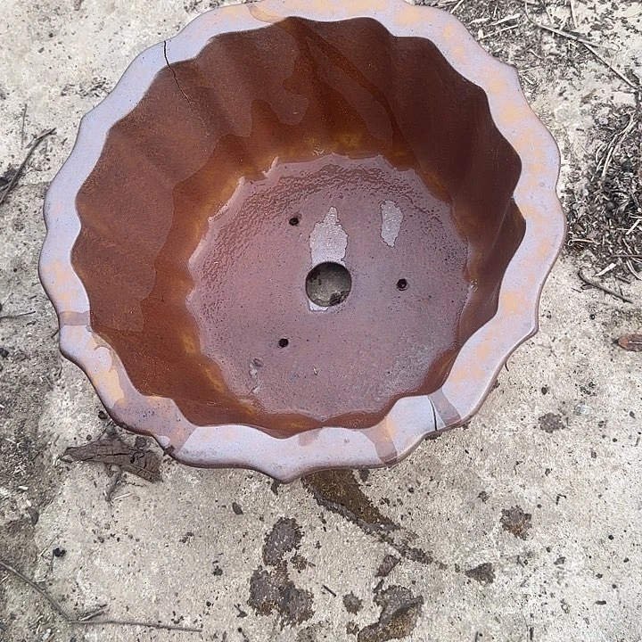 在家里等车回家我才放心啦吧呵呵的在