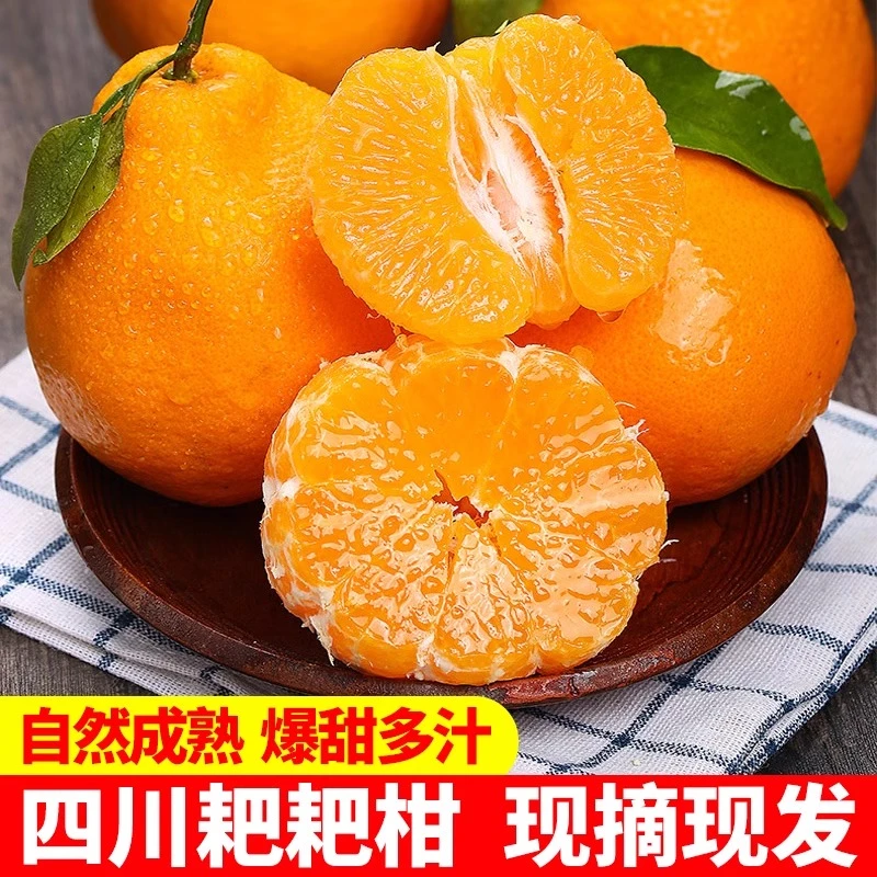 正宗粑粑柑四川春见丑橘新鲜应季水果丑八怪粑粑柑丑桔5斤9斤