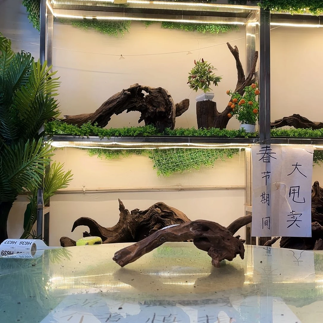 柚木沉木鱼缸造景