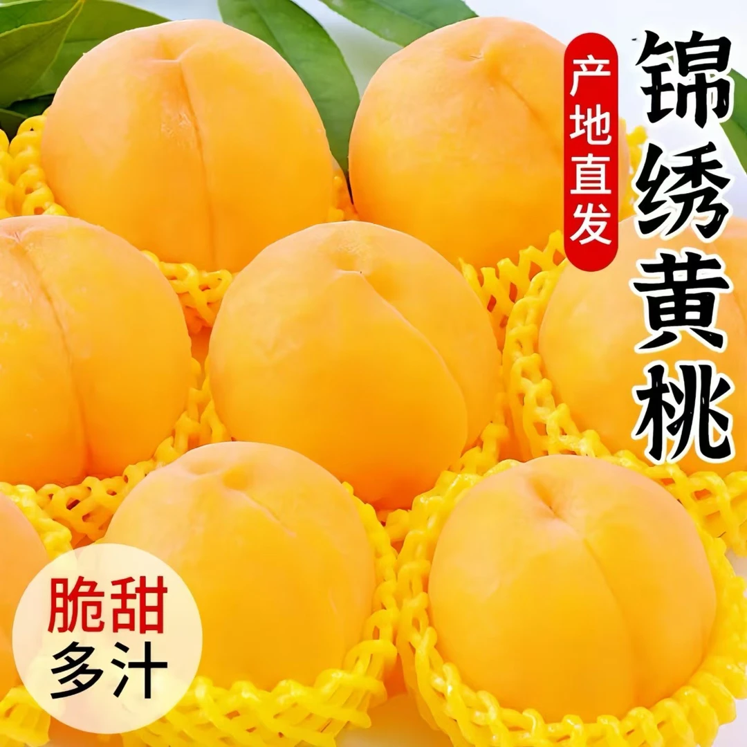 山东蒙阴黄金水蜜桃当季大黄桃锦香黄桃香甜可口锦绣黄桃