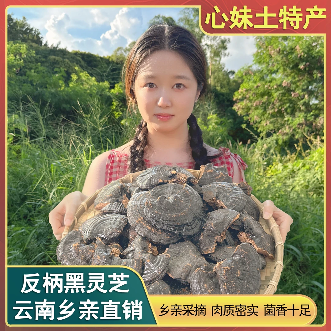 心妹山货 黑灵芝 农家土特产 可搭配枸杞 