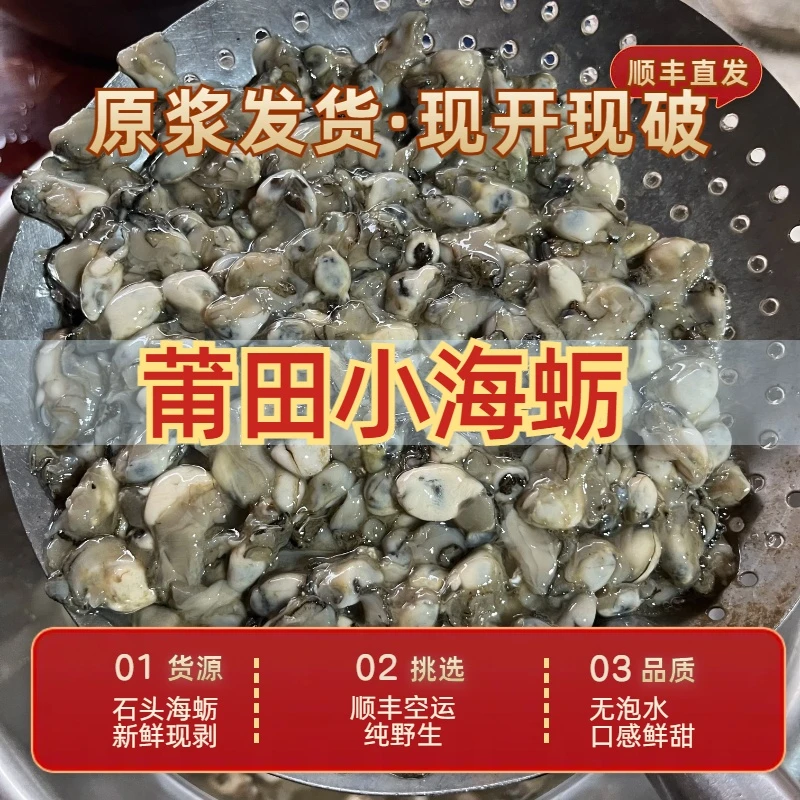 【不泡水】灵川鲜甜小海蛎新鲜现撬现发肉质鲜美顺丰空运海鲜牡蛎