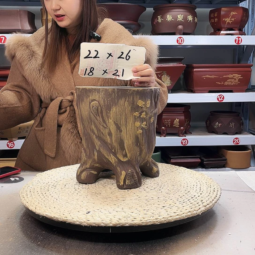 紫砂花盆紫砂花盆里