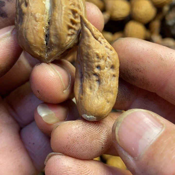 吊坠文玩核桃东北特产309