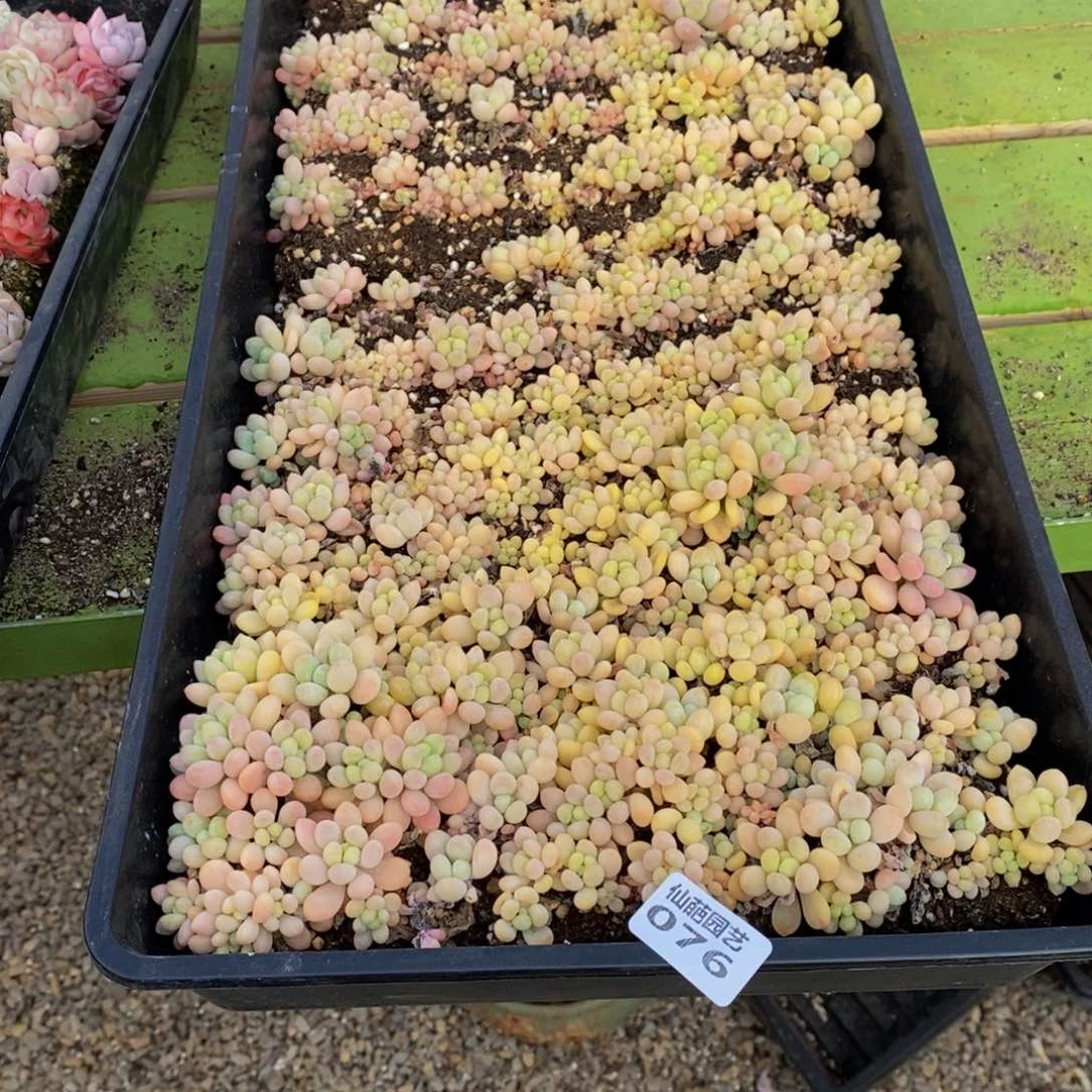 陈*076的我是一个人的时候就