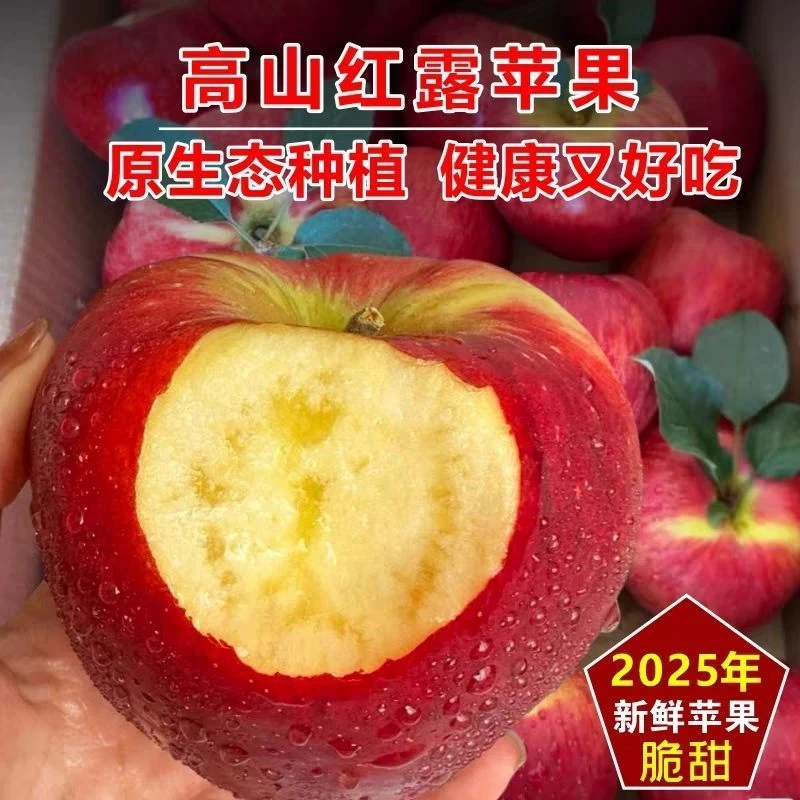 云南昭通高山红露冰糖心丑苹果脆甜多汁新鲜现摘水果