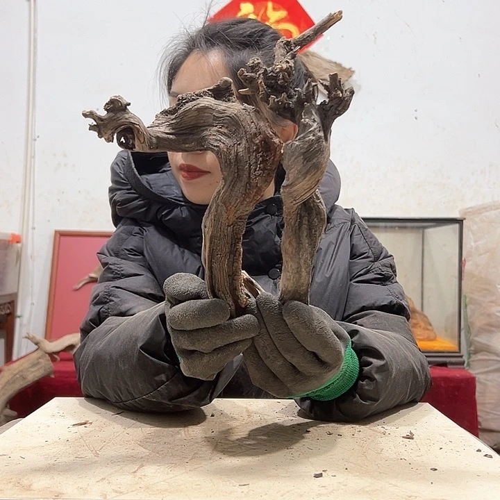 柏木古**香我们的生活也是