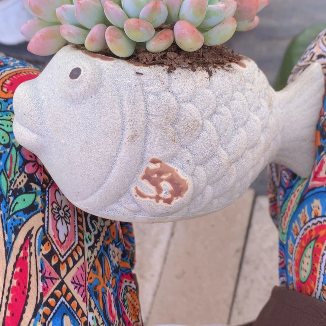 小鱼花盆一单包邮