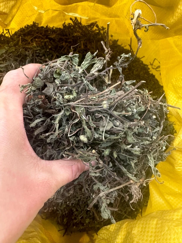 墨旱莲 旱莲草 旱墨莲 净重250克 自然晾晒精选 搭配女贞子墨旱莲