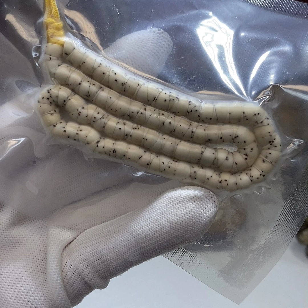 星月菩提手串卡6骨瓷白大肠