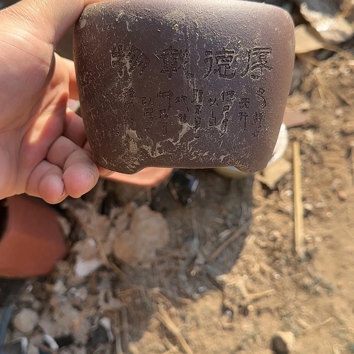 是一个不知名作家与著名导演兼电影演员