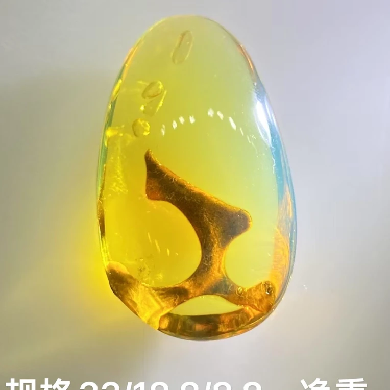 新出精美植物与干胆小吊坠 植物清晰，干胆像吹泡泡，高蓝珀体