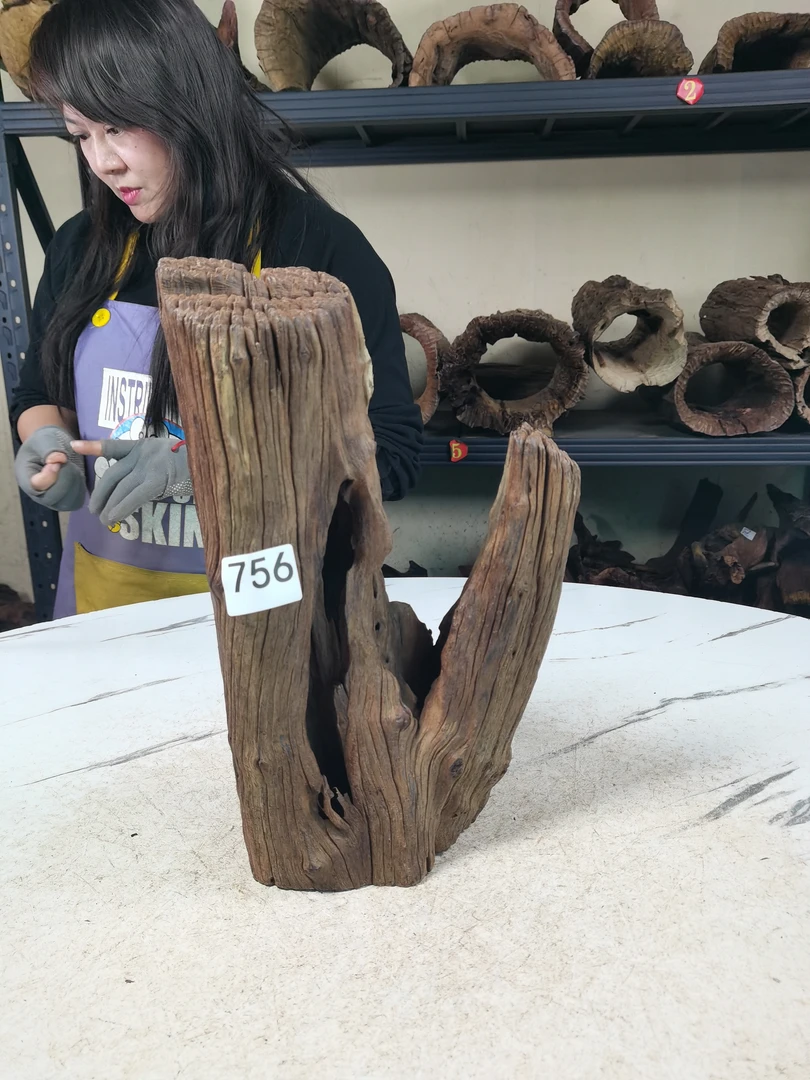 云南紫柚木沉水的沉木756