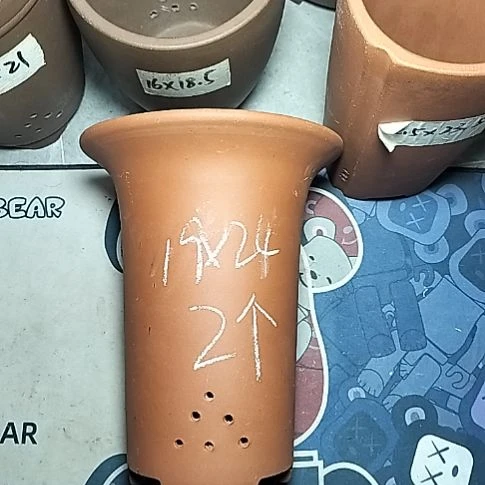 大红兰花两个花盆