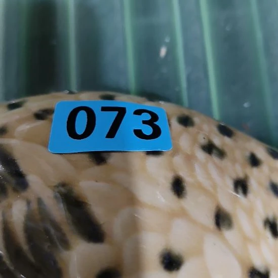 亚***小陶民俗文化研究中心