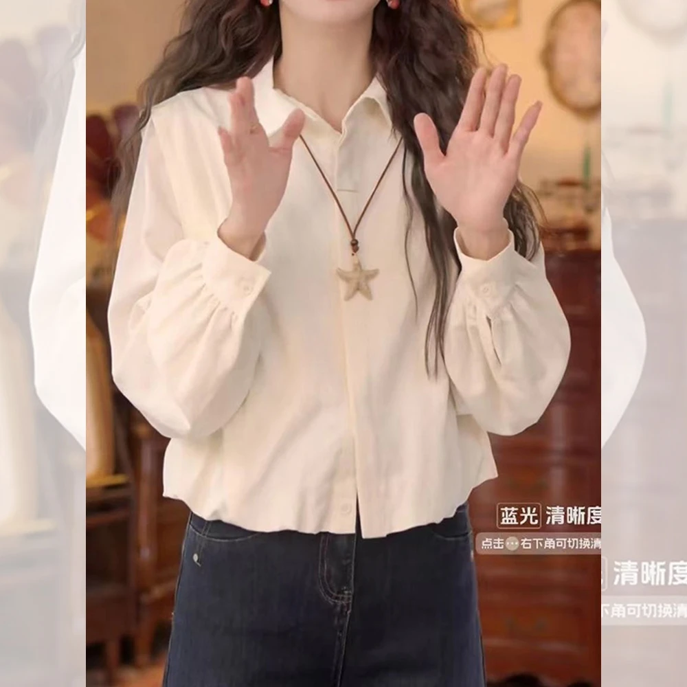 显瘦宽松减龄上衣秋季新款胖MM大码女装法式气质简约翻领长袖衬衫