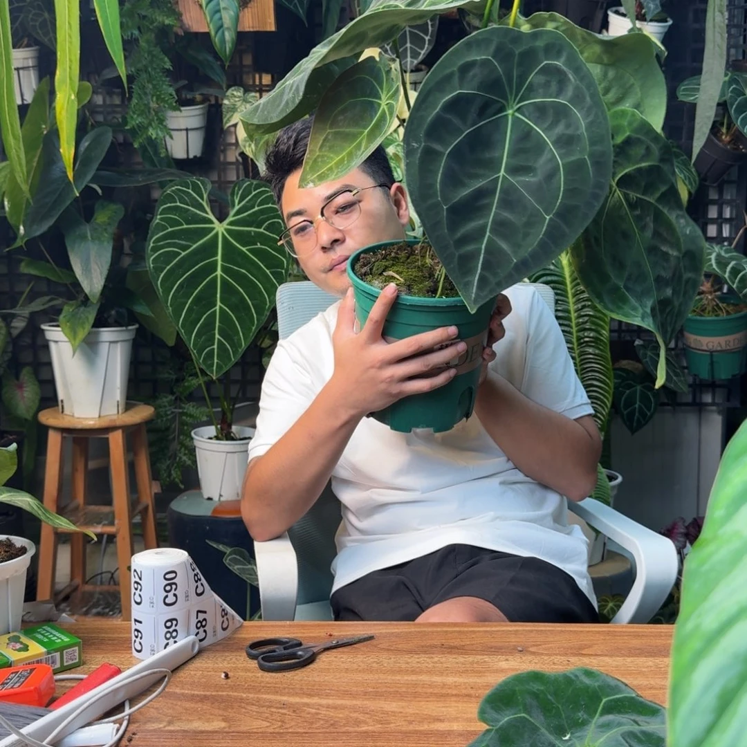 陌***欢无花朵一物一拍C83