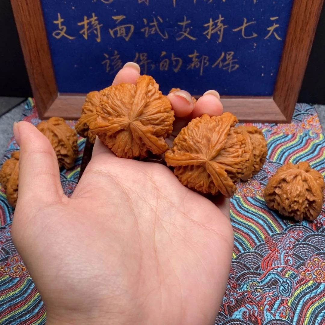 【闪购商品】小*狐白狮