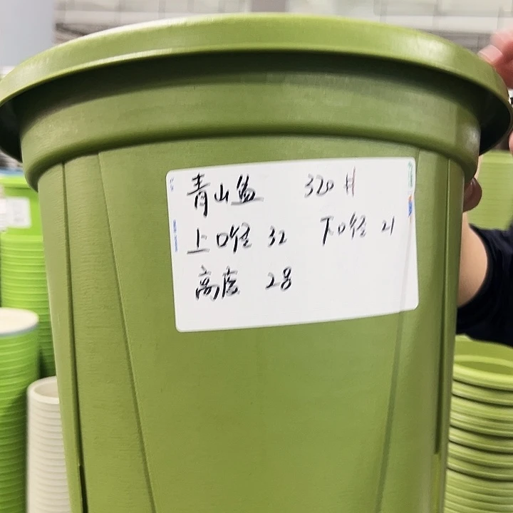 正品青山口32高28果绿无托5只
