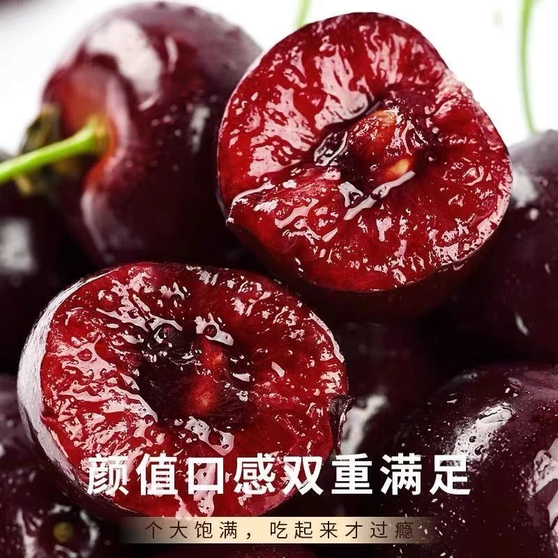 【F明日达】5斤原箱4JD智利进口桑提娜车厘子新鲜当季水果现货内附果径卡海运桑提娜樱桃智利共和国