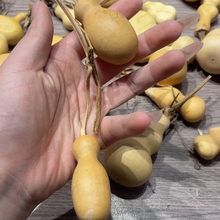 今*缘葫芦葫芦葫芦过来